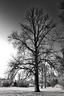 IMG 0697 resize